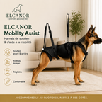 ELCANOR Mobility Assist – harnais de soutien et levage pour chien