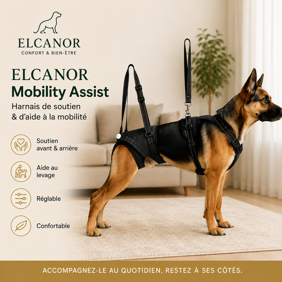 ELCANOR Mobility Assist – harnais de soutien et levage pour chien