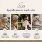 ELCANOR Mobility Assist – soutien pour chien senior et mobilité réduite