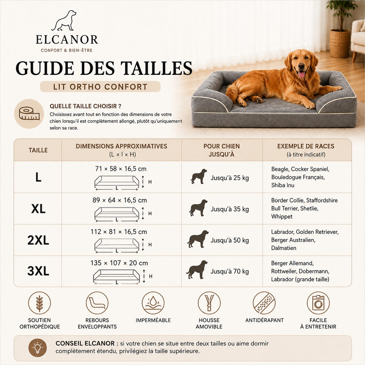ELCANOR Ortho Confort – Guide des tailles