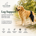 ELCANOR Leg Support – support réglable pour patte de chien