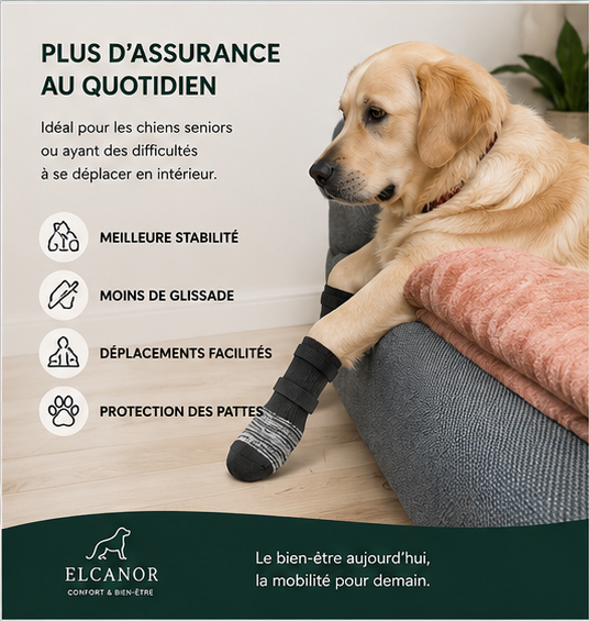 ELCANOR Grip Assist pour chien senior – stabilité au quotidien