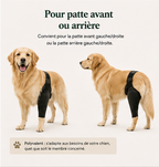 ELCANOR Leg Support pour patte avant ou arrière du chien