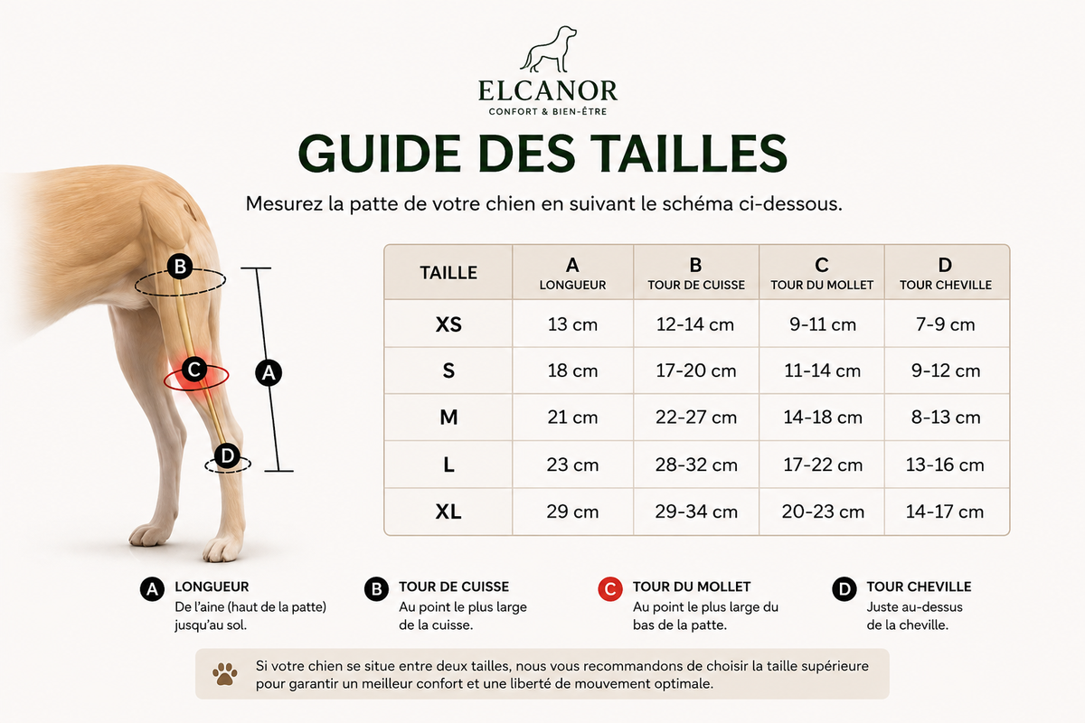Guide des tailles ELCANOR Leg Support – mesures A B C D pour patte de chien
