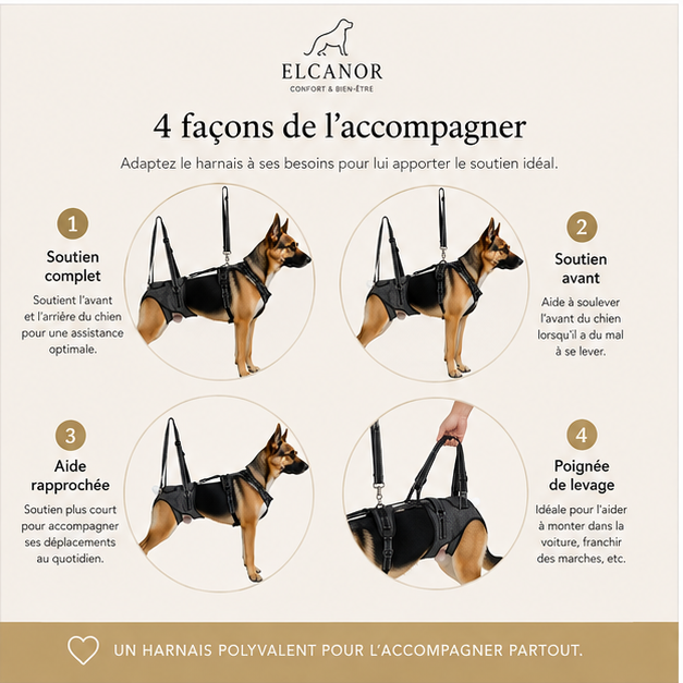ELCANOR Mobility Assist – quatre modes de soutien et aide au levage
