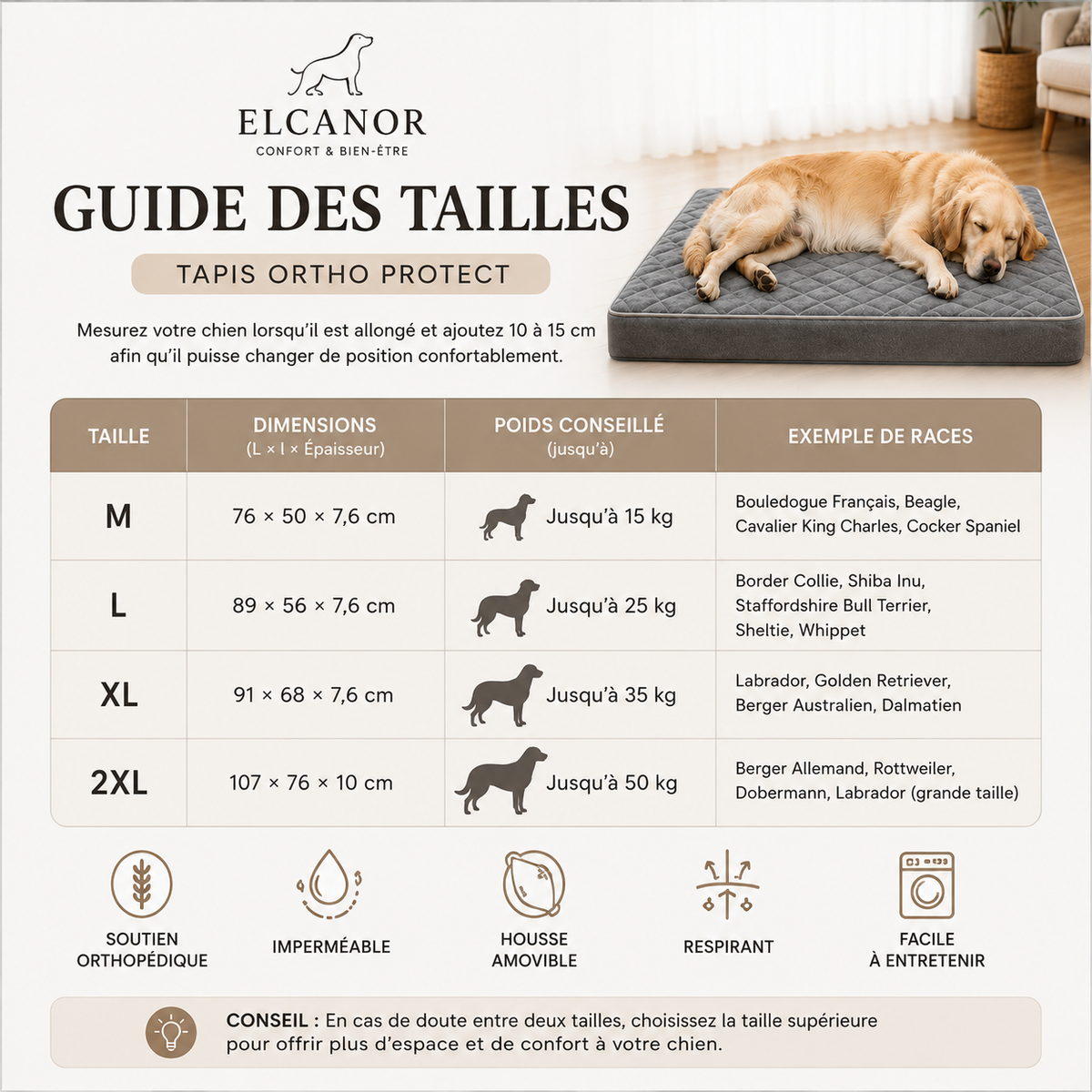 Guide des tailles elcanor-tapis-ortho-protect